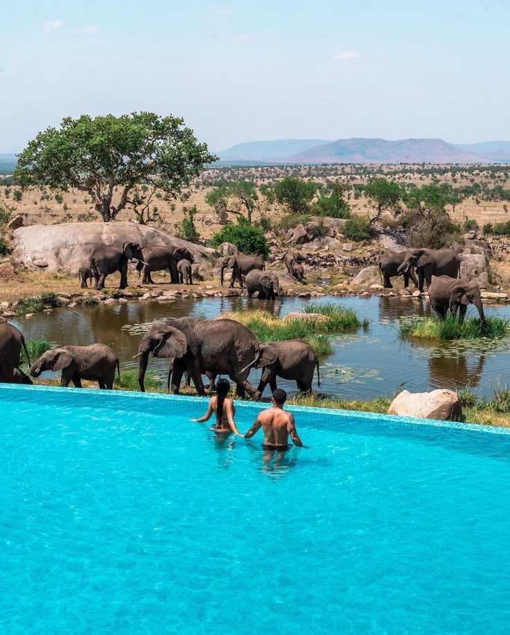 THE SPACIOUS SWIMMING POOL