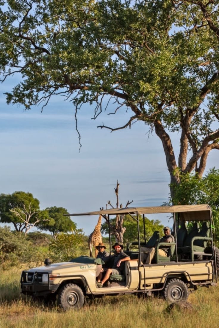game drive
