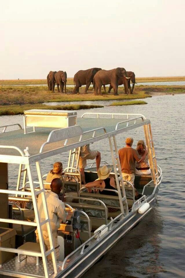 Fishing on a boat cruise